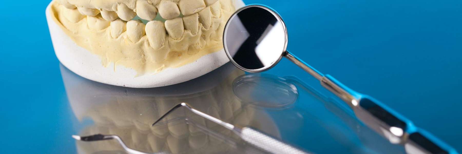 Jaw Model